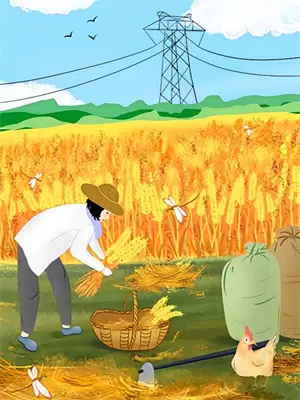 荒岛求生我最强全文免费阅读无弹窗大结局_荒岛求生我最强（王强张龙）最新小说