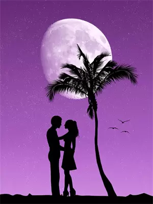 浴火涅槃：总裁前夫哭着求复婚