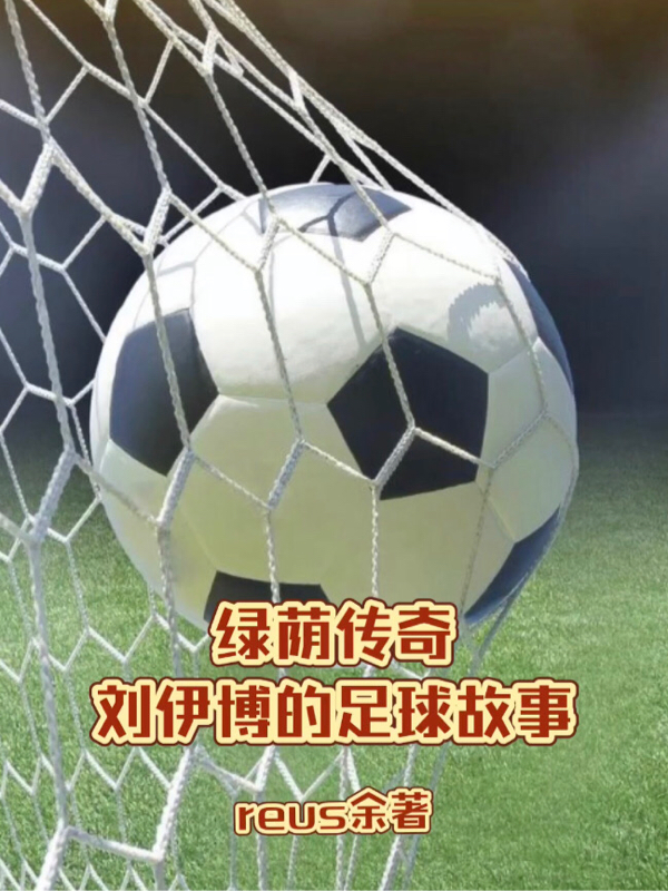 绿荫传奇刘伊博的足球故事